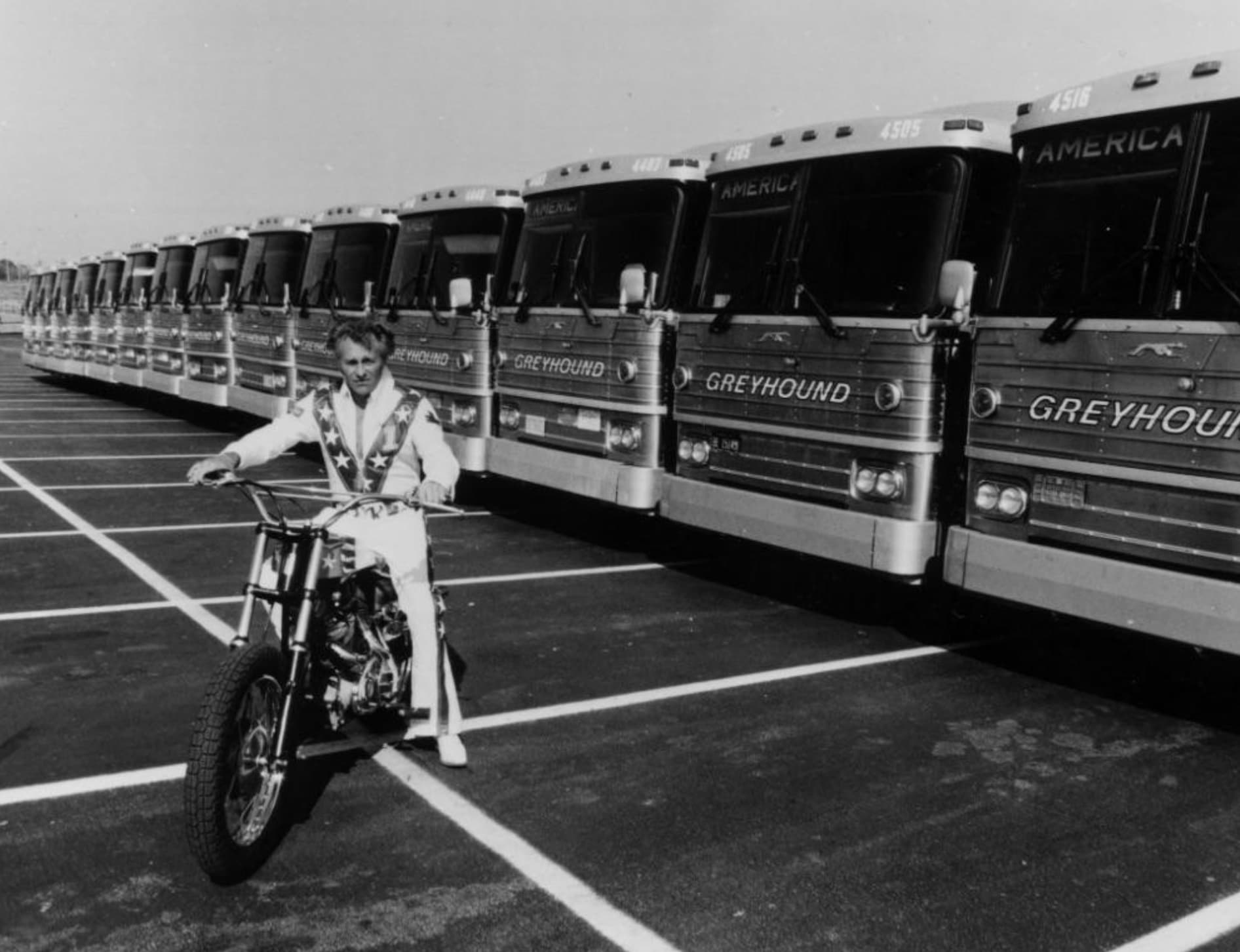 evel knievel greyhound bus - Americ 4585 America 4505 4516 America Reyhound Greyhound O Greyhound O Greyhou